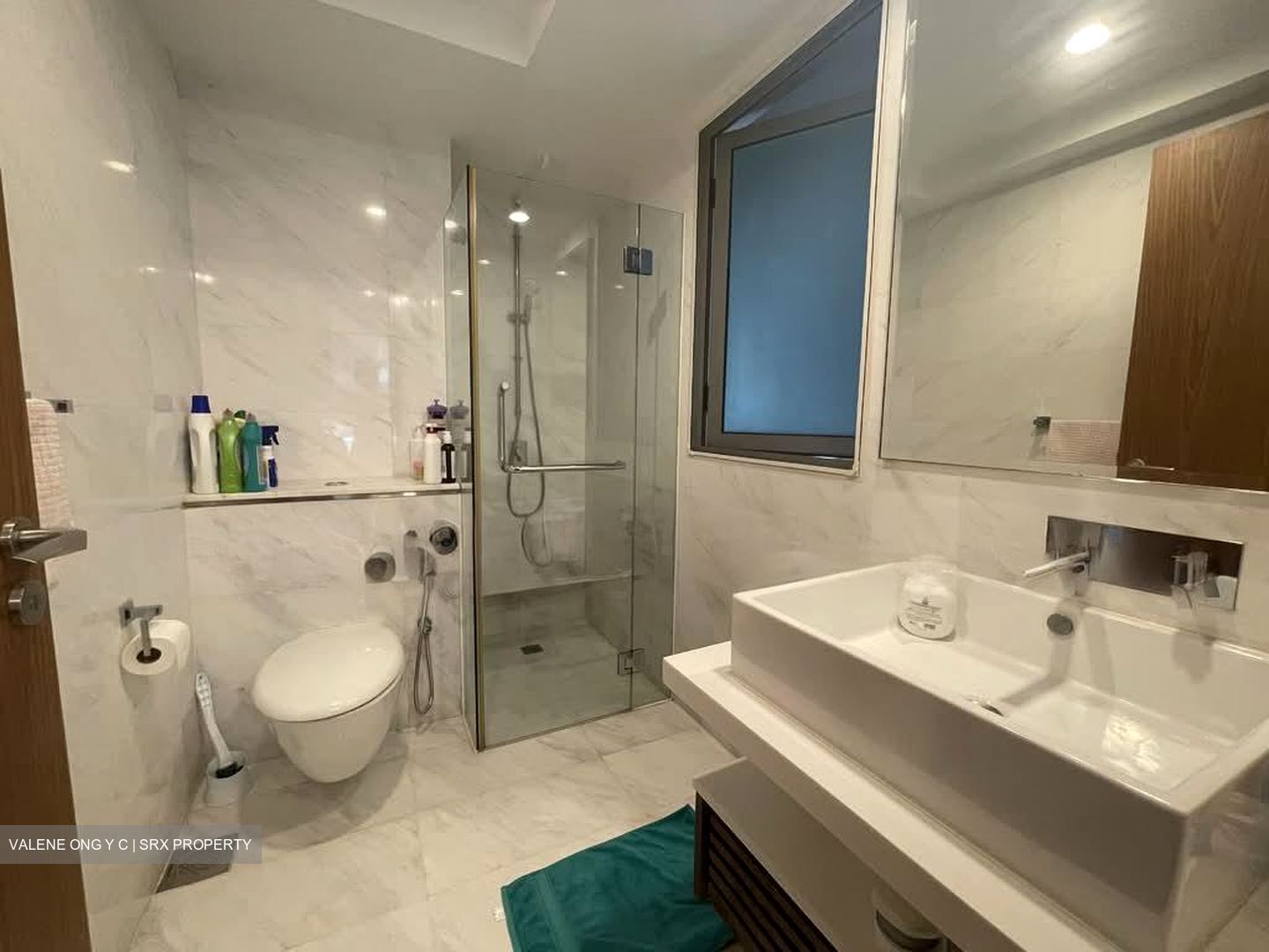 Suites At Orchard (D9), Apartment #559691481